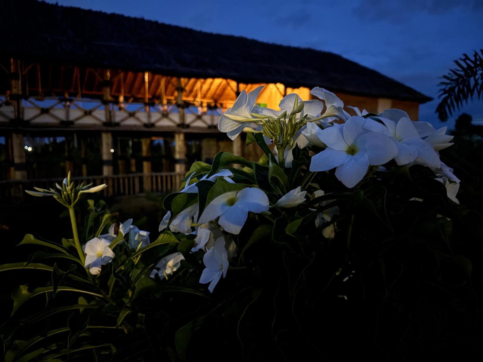 Mowgli'S Cafe Hampi & Guest House Exterior foto
